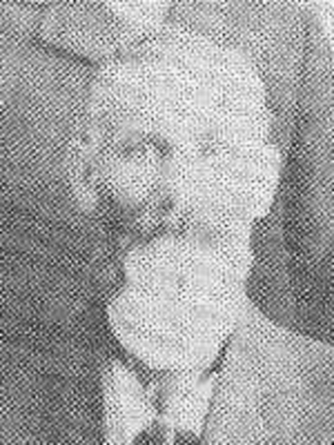 William Williams White (1848 - 1915) Profile
